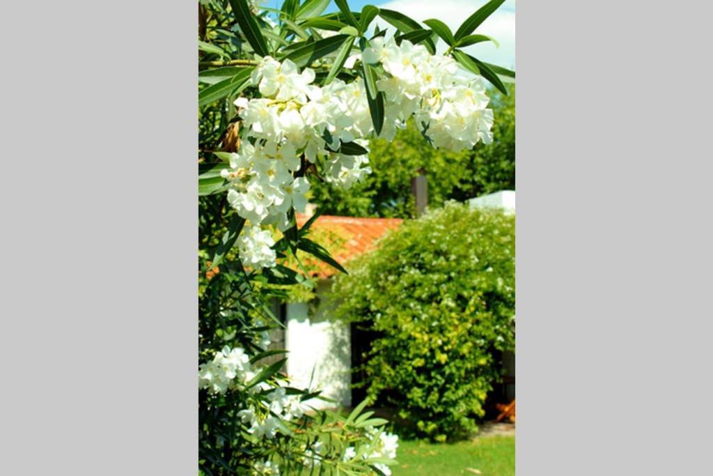 Вилла Big Beautiful House With Garden In 5Ta Seccion Neighbourhood Мендоса Экстерьер фото