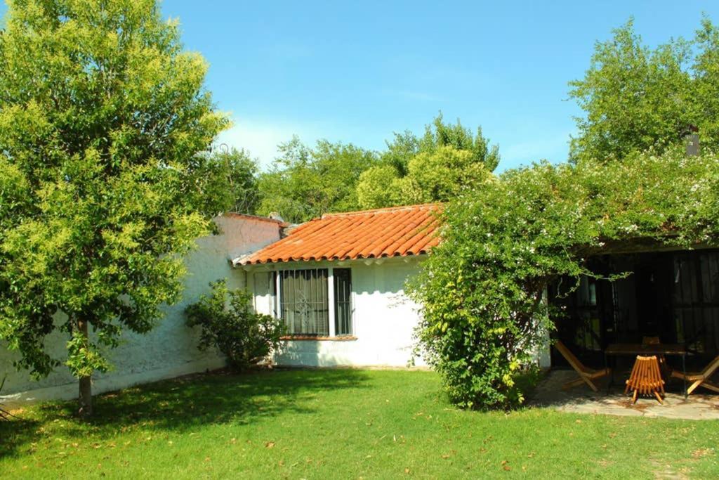 Вилла Big Beautiful House With Garden In 5Ta Seccion Neighbourhood Мендоса Экстерьер фото